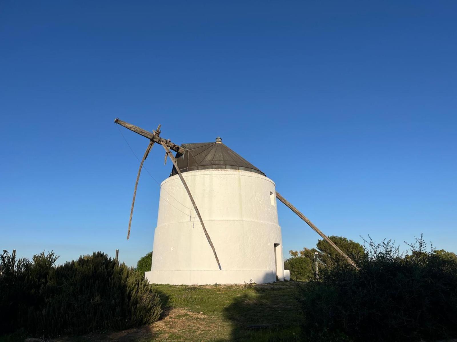 Casa Carmen - Centrico Apartamento Con Terraza Privada Vejer de la Frontera Zewnętrze zdjęcie